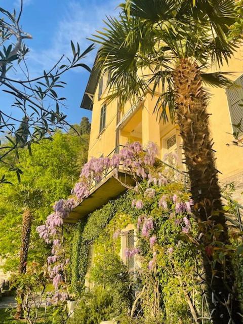 Villa Gina Varenna Eksteriør billede