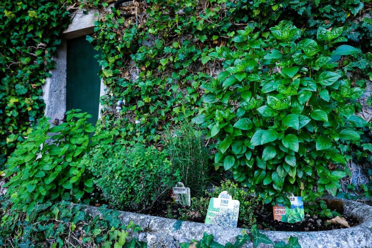 Villa Gina Varenna Eksteriør billede